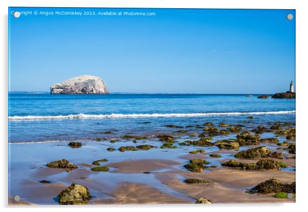 The Bass Rock from Seacliff Beach, East Lothian Acrylic by Angus McComiskey