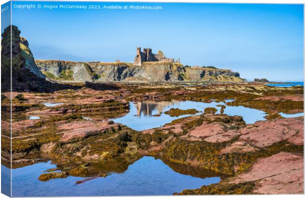 Tantallon Castle and rock pools, East Lothian Canvas Print by Angus McComiskey