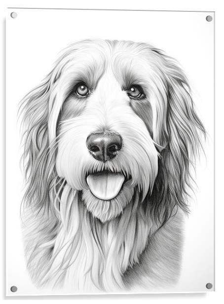 Bearded Collie Pencil Drawing Acrylic by K9 Art
