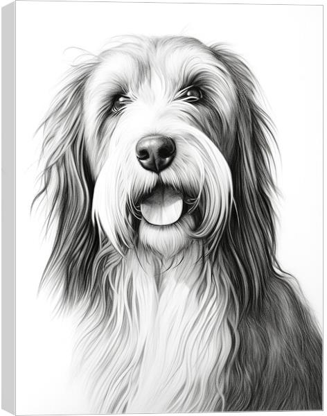 Bearded Collie Pencil Drawing Canvas Print by K9 Art