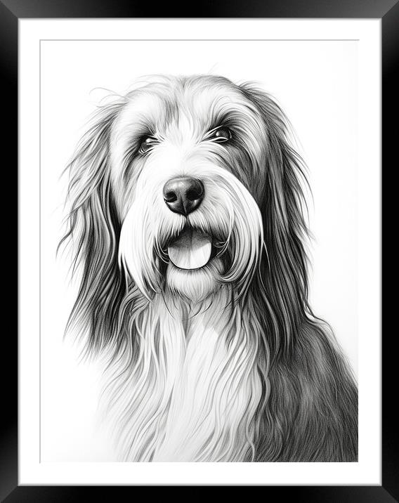 Bearded Collie Pencil Drawing Framed Mounted Print by K9 Art