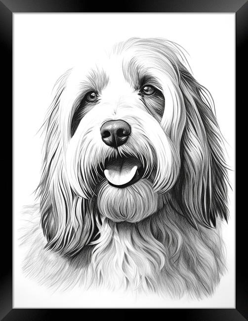 Bearded Collie Pencil Drawing Framed Print by K9 Art