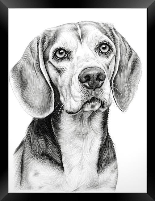 Beagle Pencil Drawing Framed Print by K9 Art