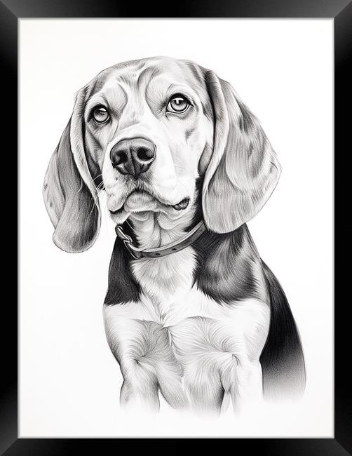 Beagle Pencil Drawing Framed Print by K9 Art