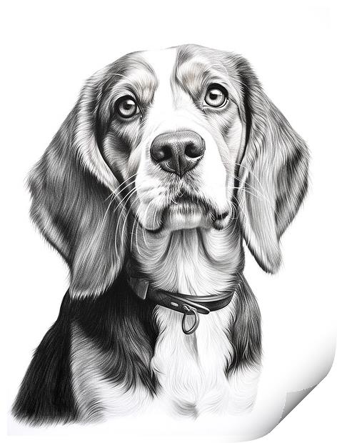 Beagle Pencil Drawing Print by K9 Art