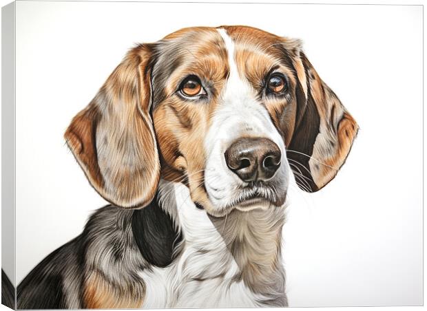 Beagle Pencil Drawing Canvas Print by K9 Art