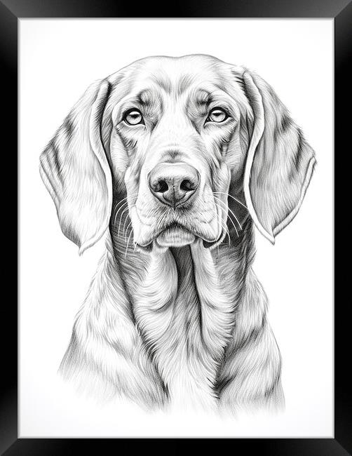 Bavarian Mountain Scent Dog Pencil Drawing Framed Print by K9 Art