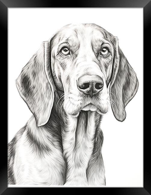 Bavarian Mountain Scent Dog Pencil Drawing Framed Print by K9 Art