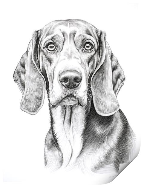 Bavarian Mountain Scent Dog Pencil Drawing Print by K9 Art