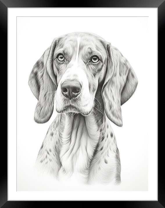 Bavarian Mountain Scent Dog Pencil Drawing Framed Mounted Print by K9 Art