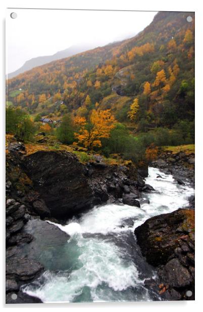 Waterfall Flamsdalen Valley Flam Norway Scandinavia Acrylic by Andy Evans Photos