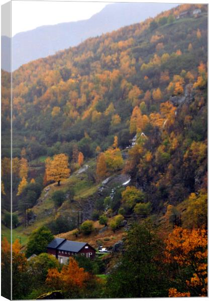 Autumn Trees Flamsdalen Valley Flam Norway Scandinavia Canvas Print by Andy Evans Photos