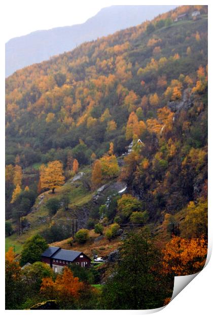 Autumn Trees Flamsdalen Valley Flam Norway Scandinavia Print by Andy Evans Photos