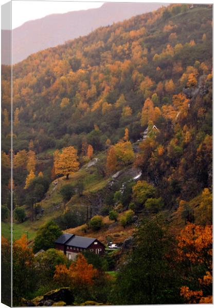 Autumn Trees Flamsdalen Valley Flam Norway Scandinavia Canvas Print by Andy Evans Photos