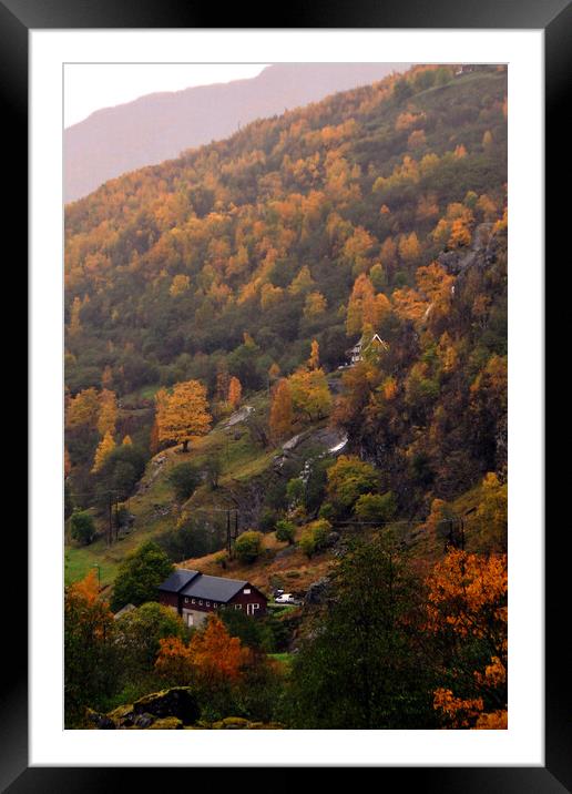 Autumn Trees Flamsdalen Valley Flam Norway Scandinavia Framed Mounted Print by Andy Evans Photos