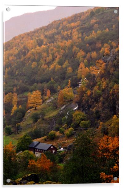 Autumn Trees Flamsdalen Valley Flam Norway Scandinavia Acrylic by Andy Evans Photos