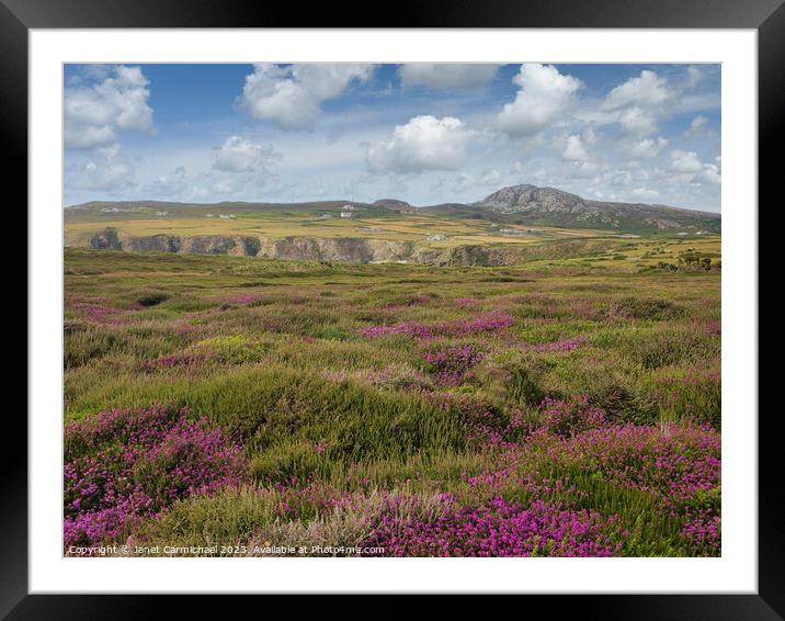 Summer Heather Framed Mounted Print by Janet Carmichael