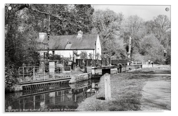 Monmouthshire and Brecon Canal black and white Acrylic by Pearl Bucknall