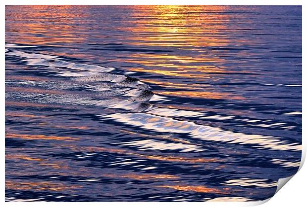 Waves Meet The Sunset Print by Anne Macdonald
