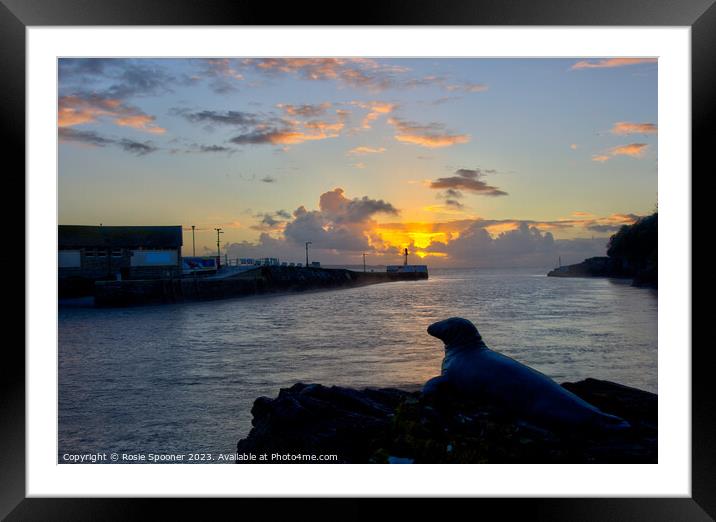Nelson at sunrise in Looe Framed Mounted Print by Rosie Spooner