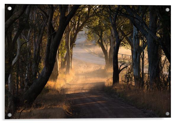 Morning light, Hampton Post Office Road Acrylic by John Dunbar