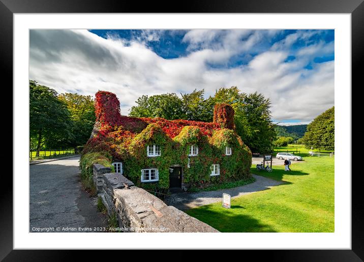 Llanrwst Autumn Cottage Wales Framed Mounted Print by Adrian Evans