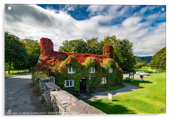 Llanrwst Autumn Cottage Wales Acrylic by Adrian Evans