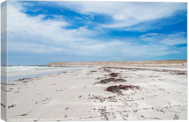 Outdoor oceanbeach Very windy daywith the whispers of the sand in Falklands  Canvas Print by Holly Burgess