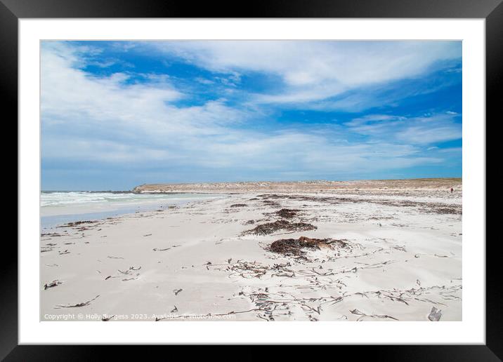 Outdoor oceanbeach Very windy daywith the whispers of the sand in Falklands  Framed Mounted Print by Holly Burgess