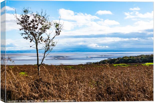 View of Morecombe Bay Sands Canvas Print by Michael Birch