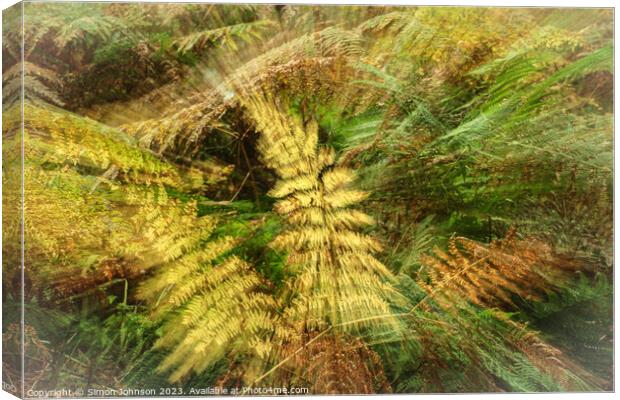 creative ferns Canvas Print by Simon Johnson