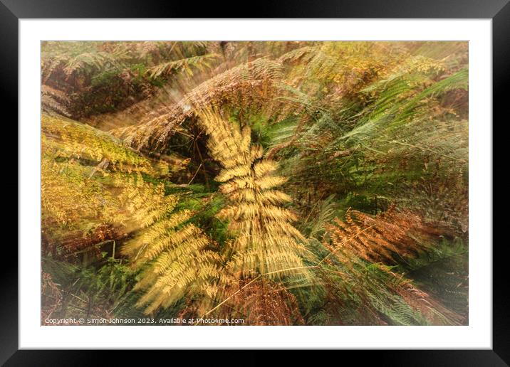 autumnal ferns Framed Mounted Print by Simon Johnson