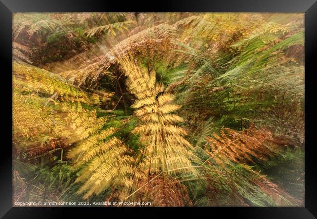 autumnal ferns Framed Print by Simon Johnson