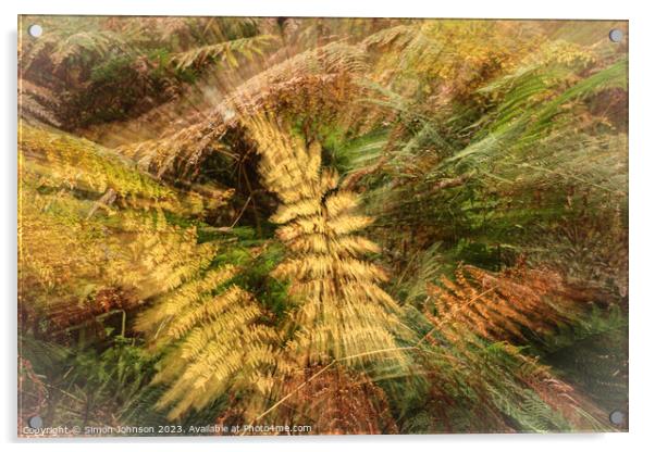 autumnal ferns Acrylic by Simon Johnson