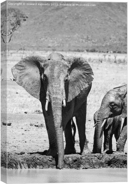 Elephant family at the waterhole in black and white Canvas Print by Howard Kennedy