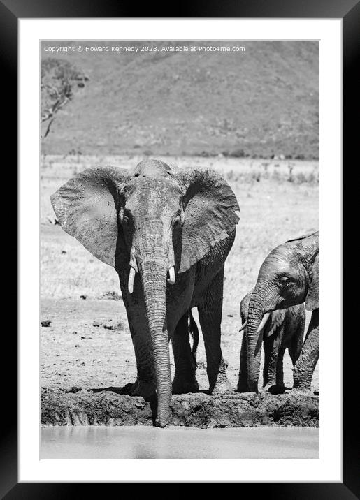 Elephant family at the waterhole in black and white Framed Mounted Print by Howard Kennedy