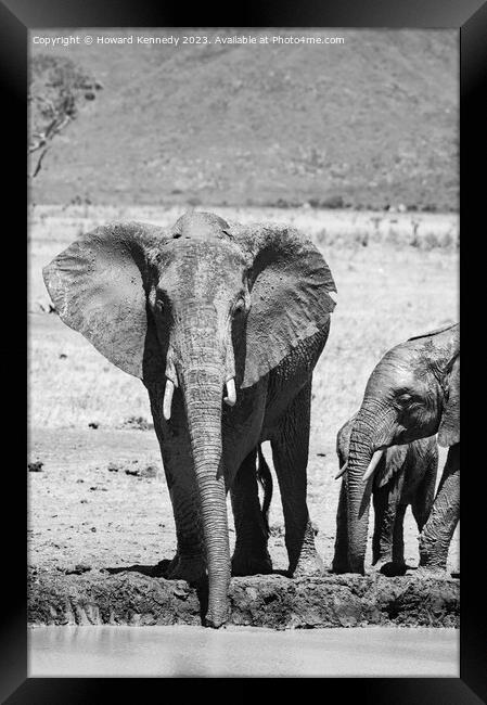 Elephant family at the waterhole in black and white Framed Print by Howard Kennedy
