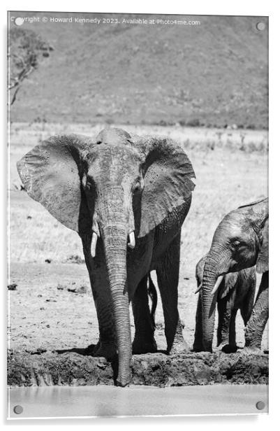 Elephant family at the waterhole in black and white Acrylic by Howard Kennedy