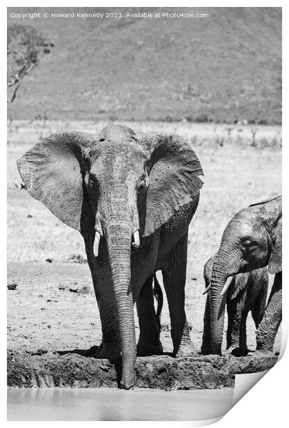 Elephant family at the waterhole in black and white Print by Howard Kennedy