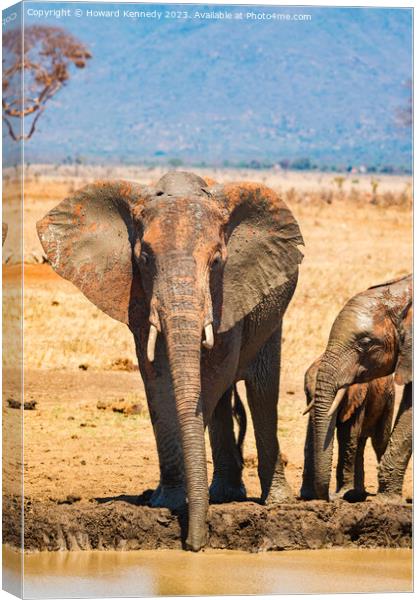 Elephant family at the waterhole Canvas Print by Howard Kennedy