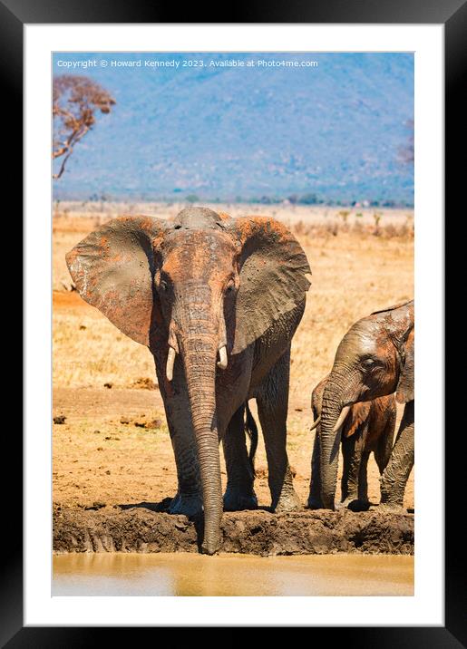 Elephant family at the waterhole Framed Mounted Print by Howard Kennedy