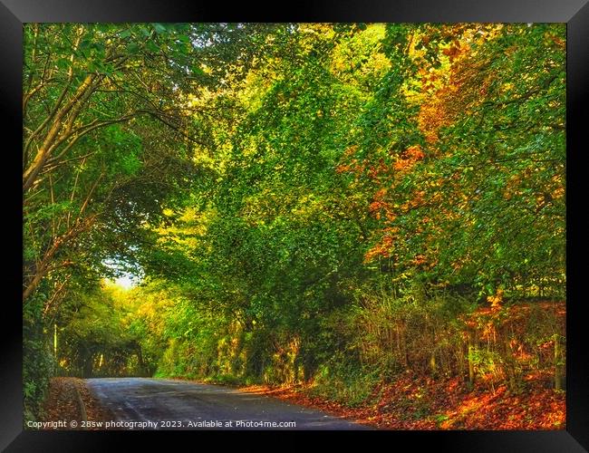 Arts of The Autumn Lane. Framed Print by 28sw photography