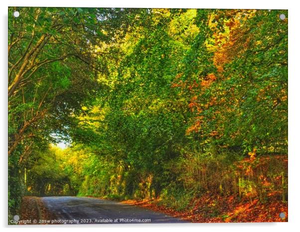 Arts of The Autumn Lane. Acrylic by 28sw photography