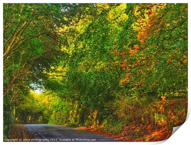 Arts of The Autumn Lane. Print by 28sw photography