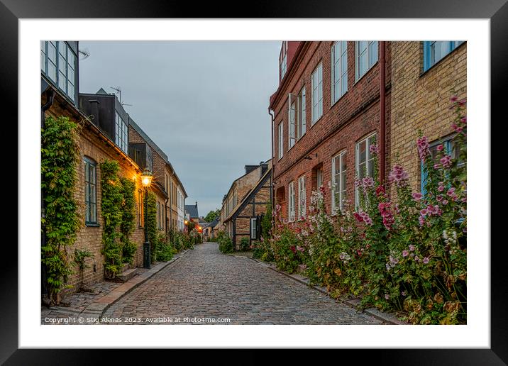 Hjortgatan is a scenic alley with hollyhocks in the old town of  Framed Mounted Print by Stig Alenäs