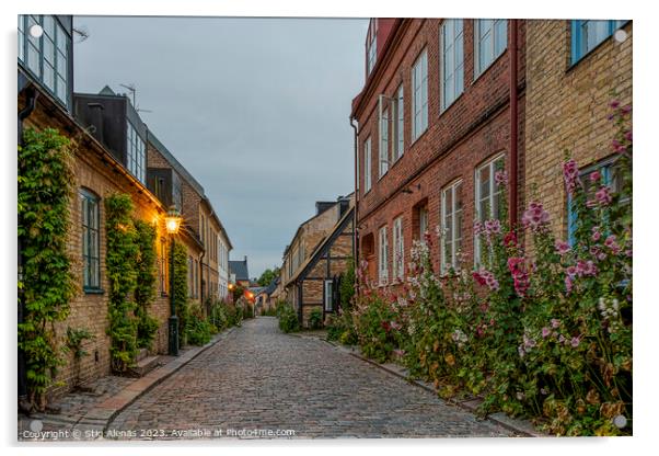 Hjortgatan is a scenic alley with hollyhocks in the old town of  Acrylic by Stig Alenäs