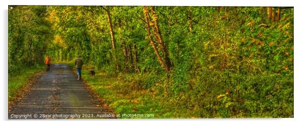 Afternoon Autumn Walking - (Panorama.) Acrylic by 28sw photography