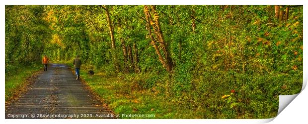 Afternoon Autumn Walking - (Panorama.) Print by 28sw photography