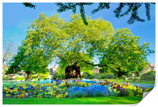 Canterbury Westgate Gardens Tree Print by Alison Chambers