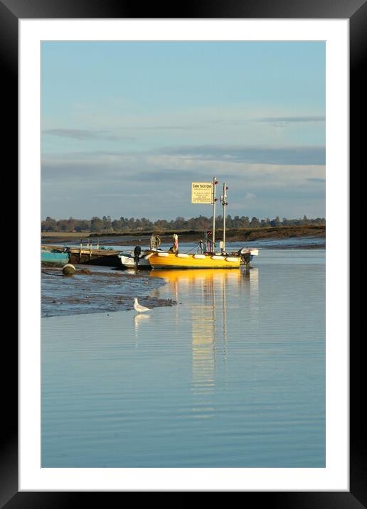 Calm sunset reflections over Brightlingsea Harbour.  Framed Mounted Print by Tony lopez